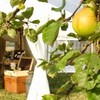 Stonecroft Orchard Weddings 1085314 Image 8